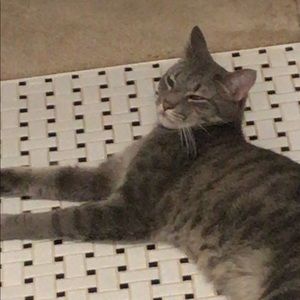 Meet your Posher, Jack